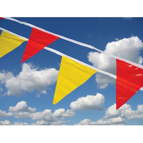 Click here to view larger image Pennant Flag (PF2Y)