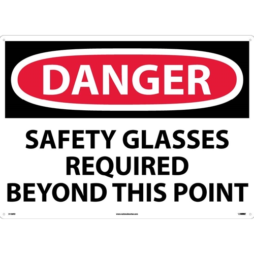 Danger Eye Protection Required Sign (D108RD)