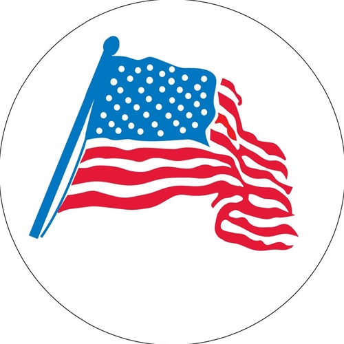 American Flag Graphic Hard Hat Emblem (HH21)
