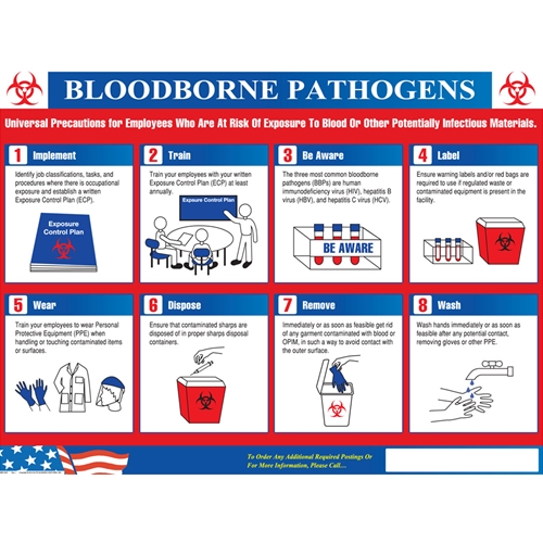 Bloodborne Pathogens In The Workplace Poster (BHWP1)
